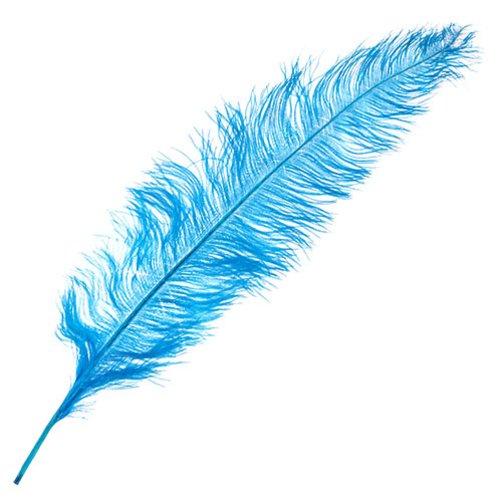 O.D Plumes 27-28 Inch Electric Blue