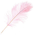 O.D Plumes 14-16 Inch Cotton Candy
