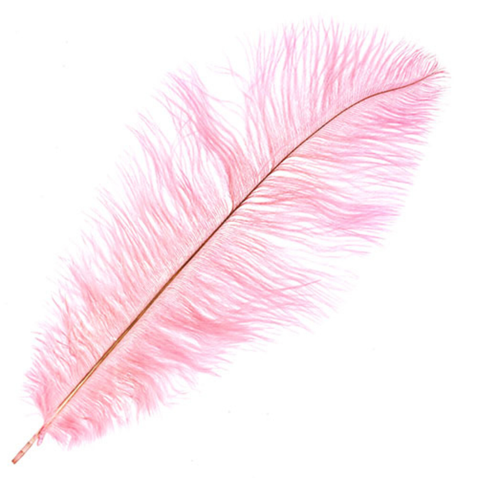 O.D Plumes 11-13 Inch Cotton Candy
