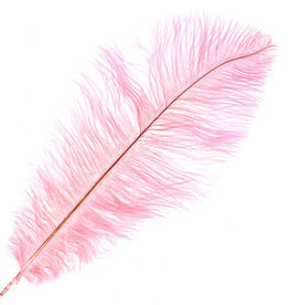 O.D Plumes 11-13 Inch Cotton Candy