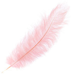 O.D Plumes 14-16 Inch Baby Pink