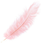 O.D Plumes 27-28 Inch Baby Pink