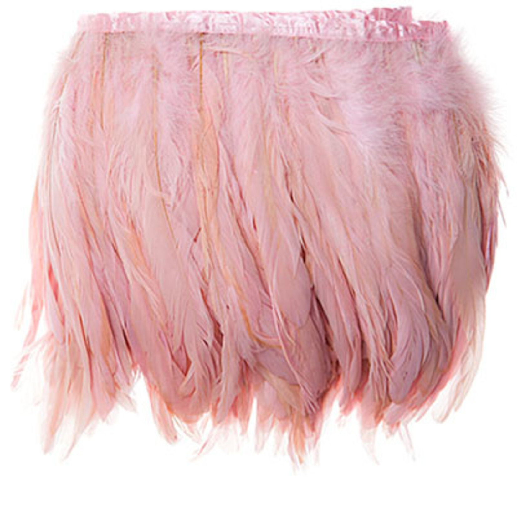 Feathers Strung With Ribbon Premium