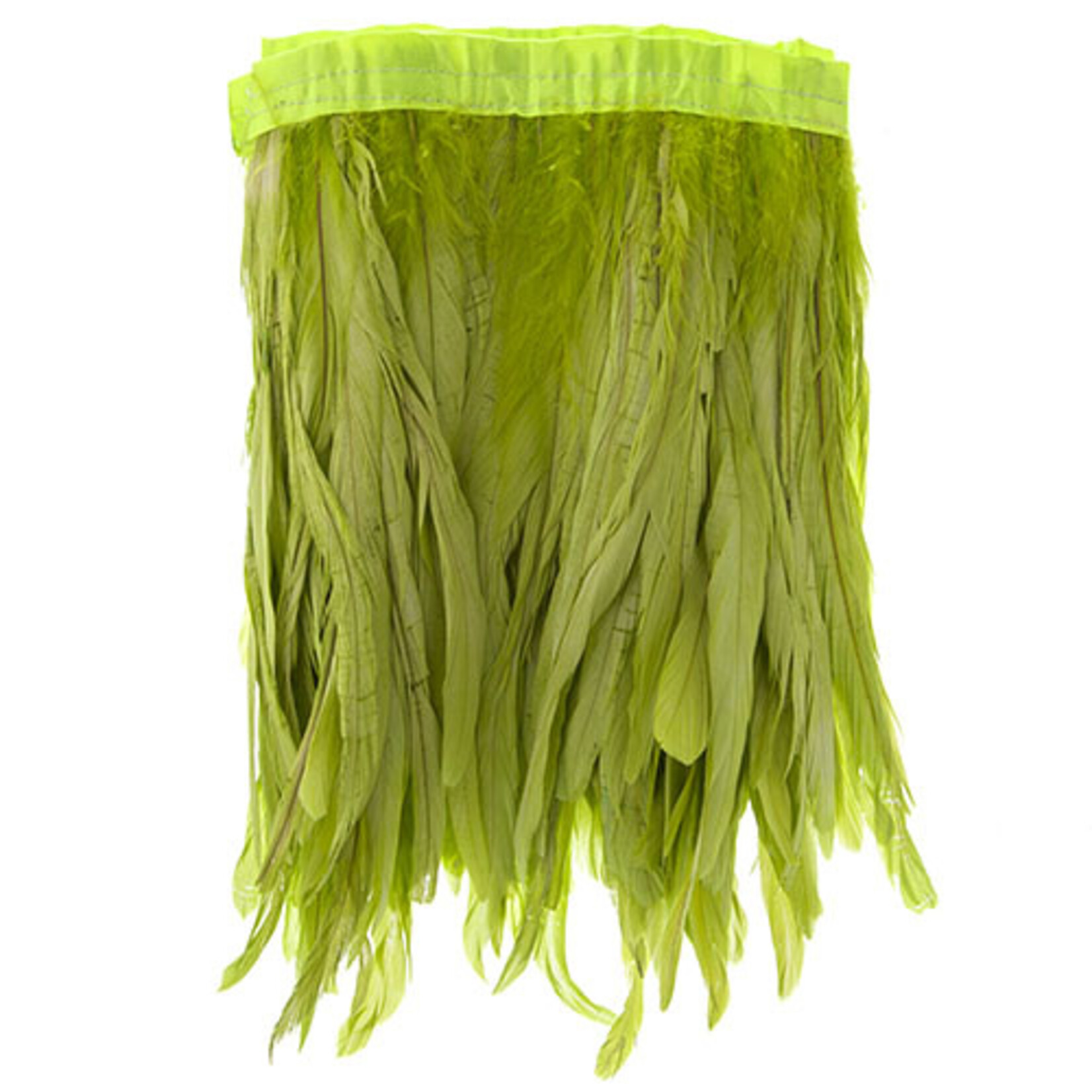 Coque Feathers Value 12-14 Inches Grass Green