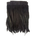 Coque Feathers Value 14-16 Inches  Black