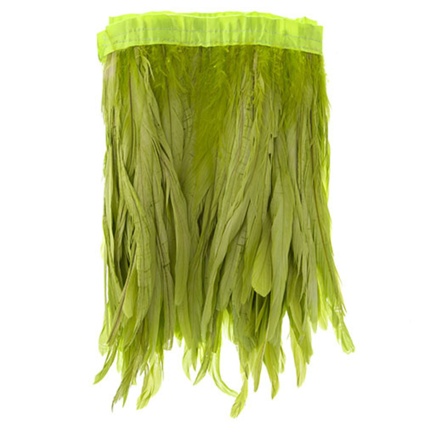 Coque Feathers Value 14-16 Inches  Grass Green