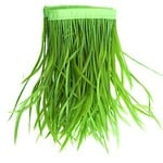 Goose Feather Biots Strung 6-8 Inches Lime Green