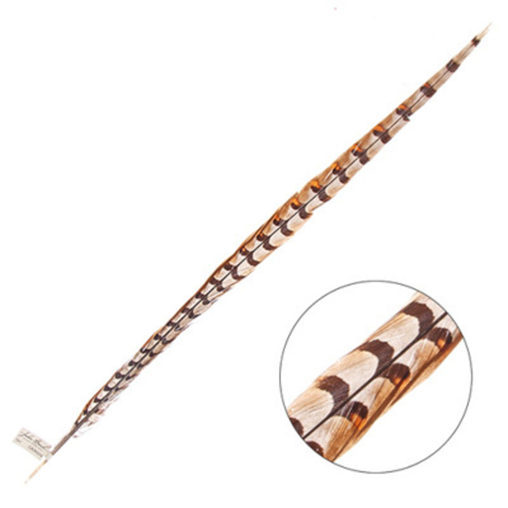 Reeves Pheasant Tail Natural 30 - 35 Inch