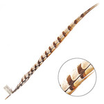 Reeves Pheasant Tail Natural 20 - 25 Inch