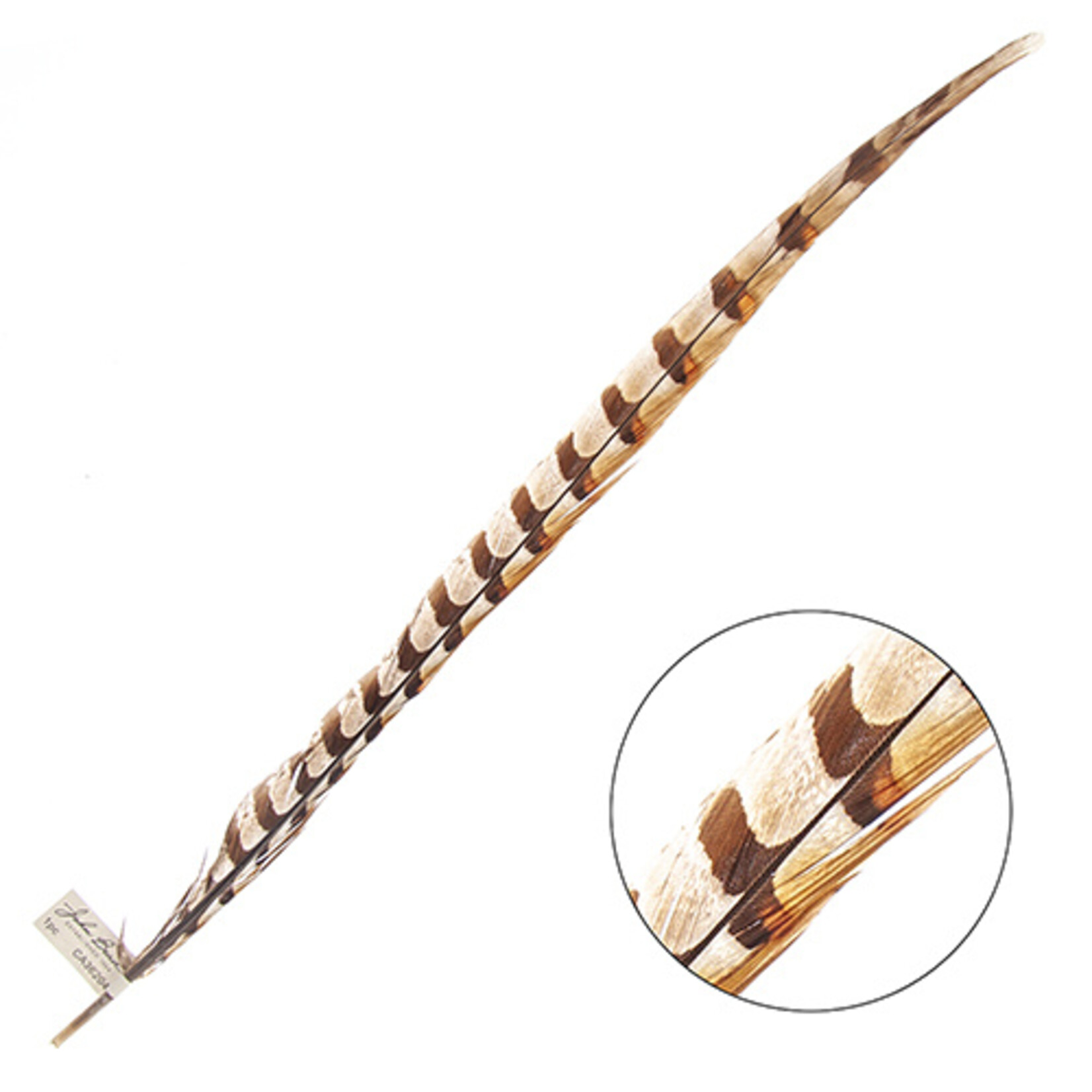 Reeves Pheasant Tail Natural 20 - 25 Inch