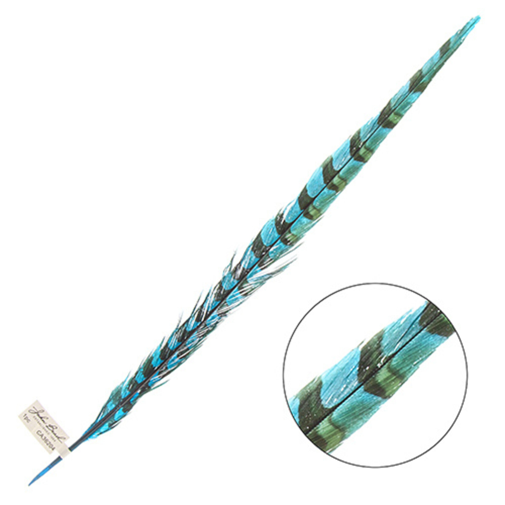 Reeves Pheasant Tail Turquoise 20 - 25 Inch
