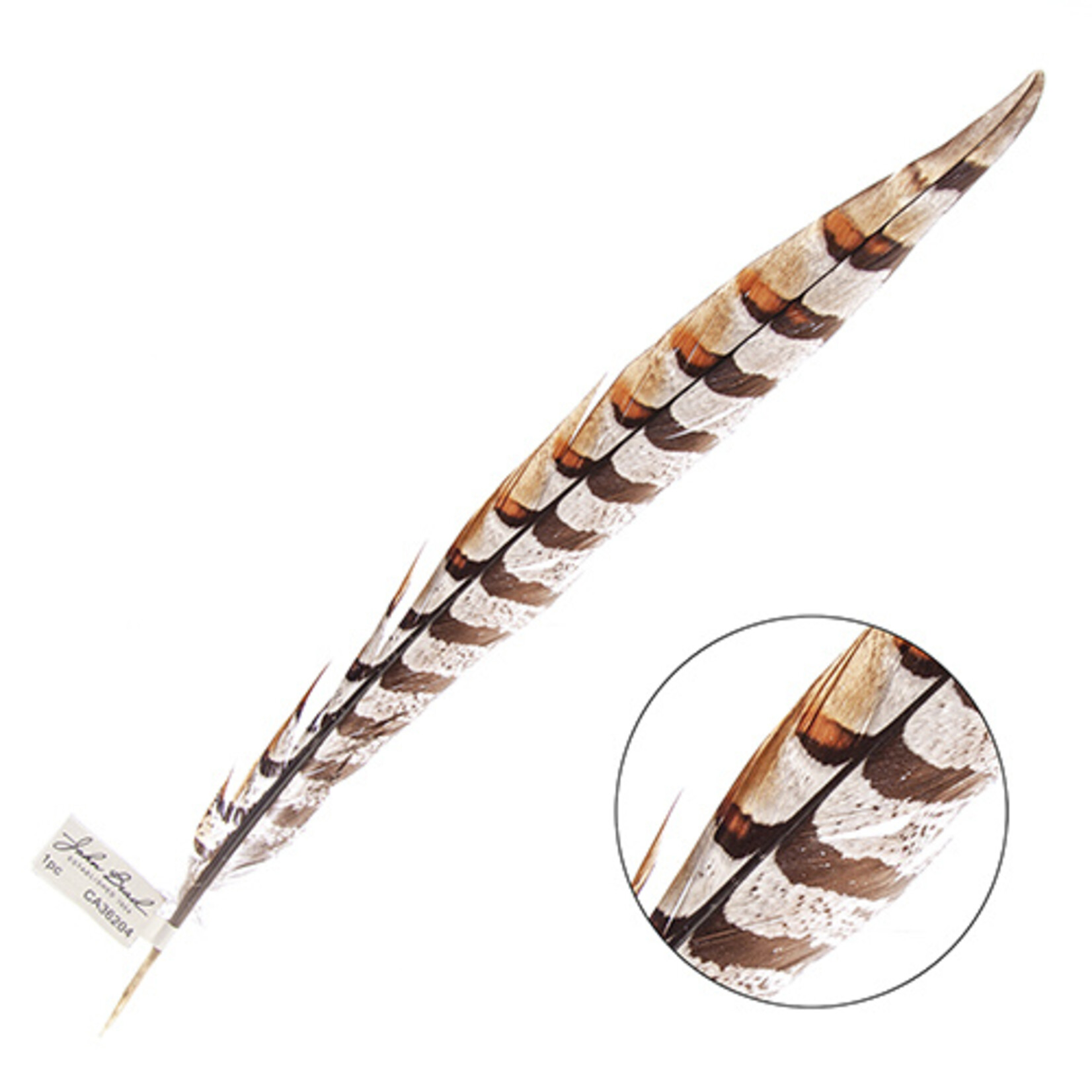 Reeves Pheasant Tail Natural 16 - 18 Inch