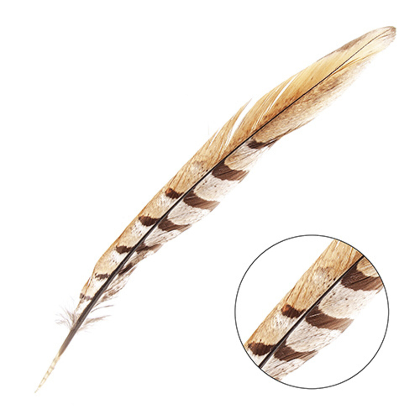 Reeves Pheasant Tail Natural 10 - 12 Inch (3 pieces)