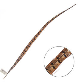 Ringneck Pheasant Tail Feather 24 - 26 Inch (1 pc)