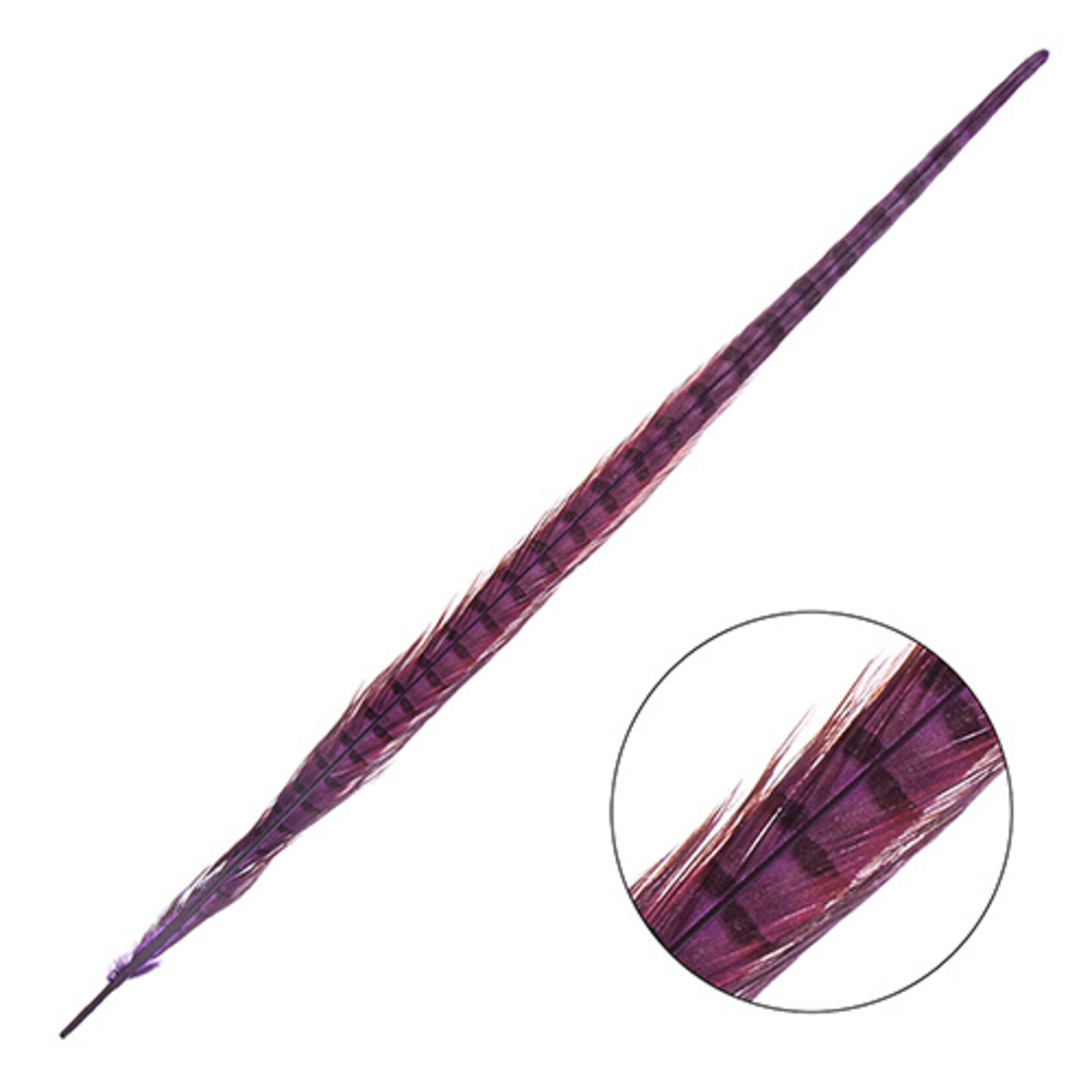 Ringneck Pheasant Tail Feather