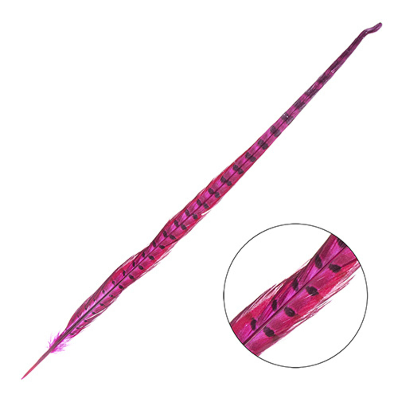 Ringneck Pheasant Tail Feather 18 - 20 Inch (3 pcs)