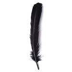 Turkey Quills 6pcs (Left & Right) Black