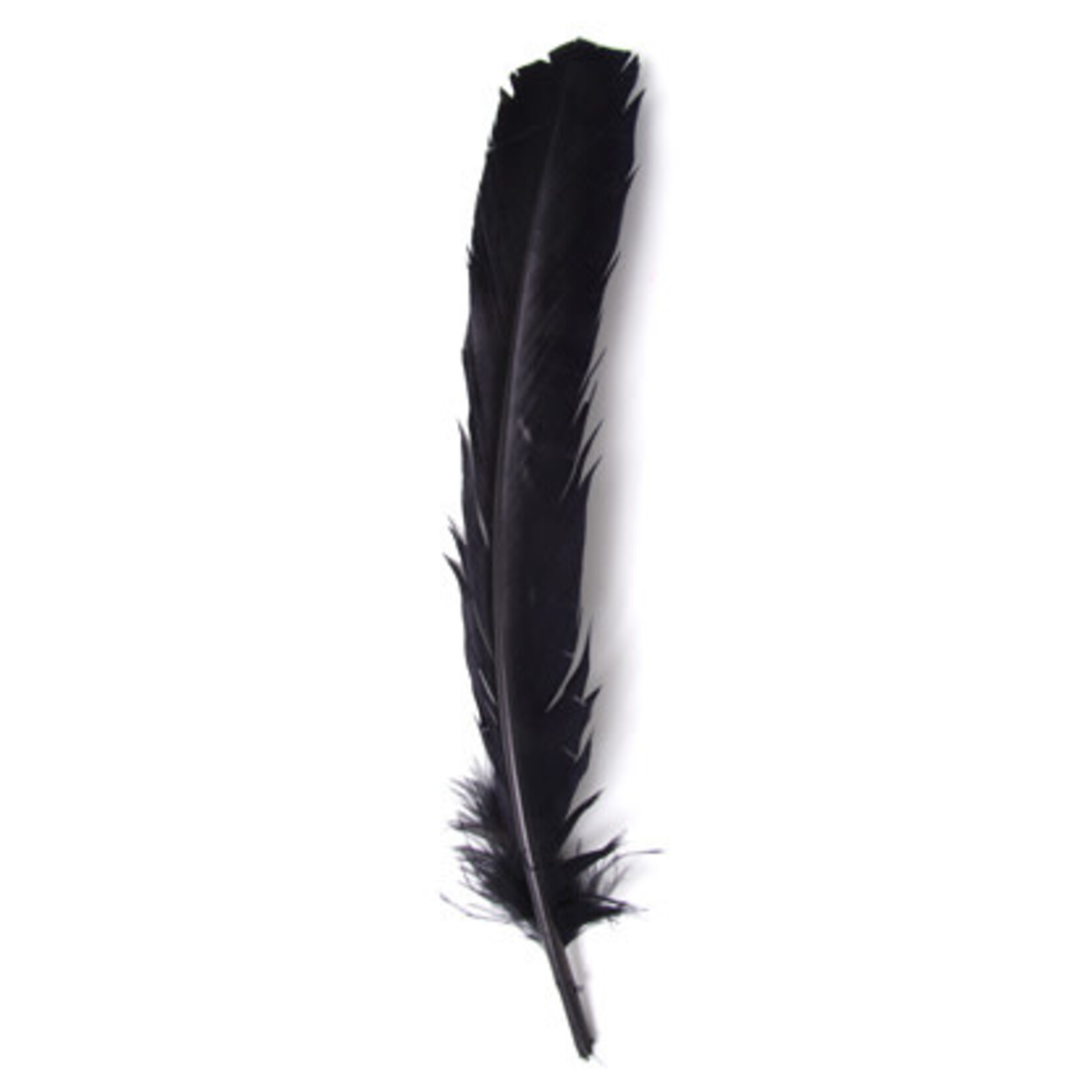 Turkey Quills 6pcs (Left & Right) Black