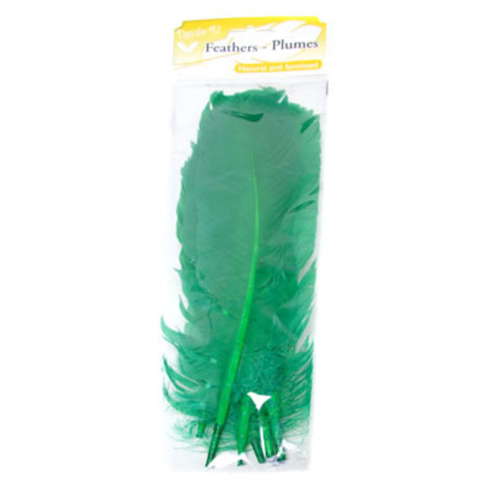 Turkey Quills 6pcs (Left & Right) Green