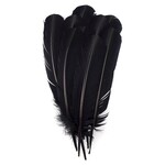 Turkey Quills 12-14 Inch 10 Pieces (5 left, 5 right) Black