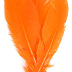 Turkey Quills 12-14 Inch 10 Pieces (5 left, 5 right) Bright Orange