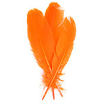 Turkey Quills 12-14 Inch 10 Pieces(5 left, 5 right) Bright Orange