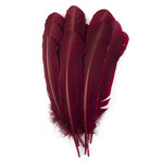 Turkey Quills 12-14 Inch 10 Pieces Burgundy