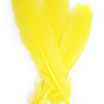 Turkey Quills 12-14 Inch 10 Pieces (5 left, 5 right) Canary Yellow