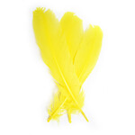 Turkey Quills 12-14 Inch 10 Pieces (5 left, 5 right)  - Canary Yellow