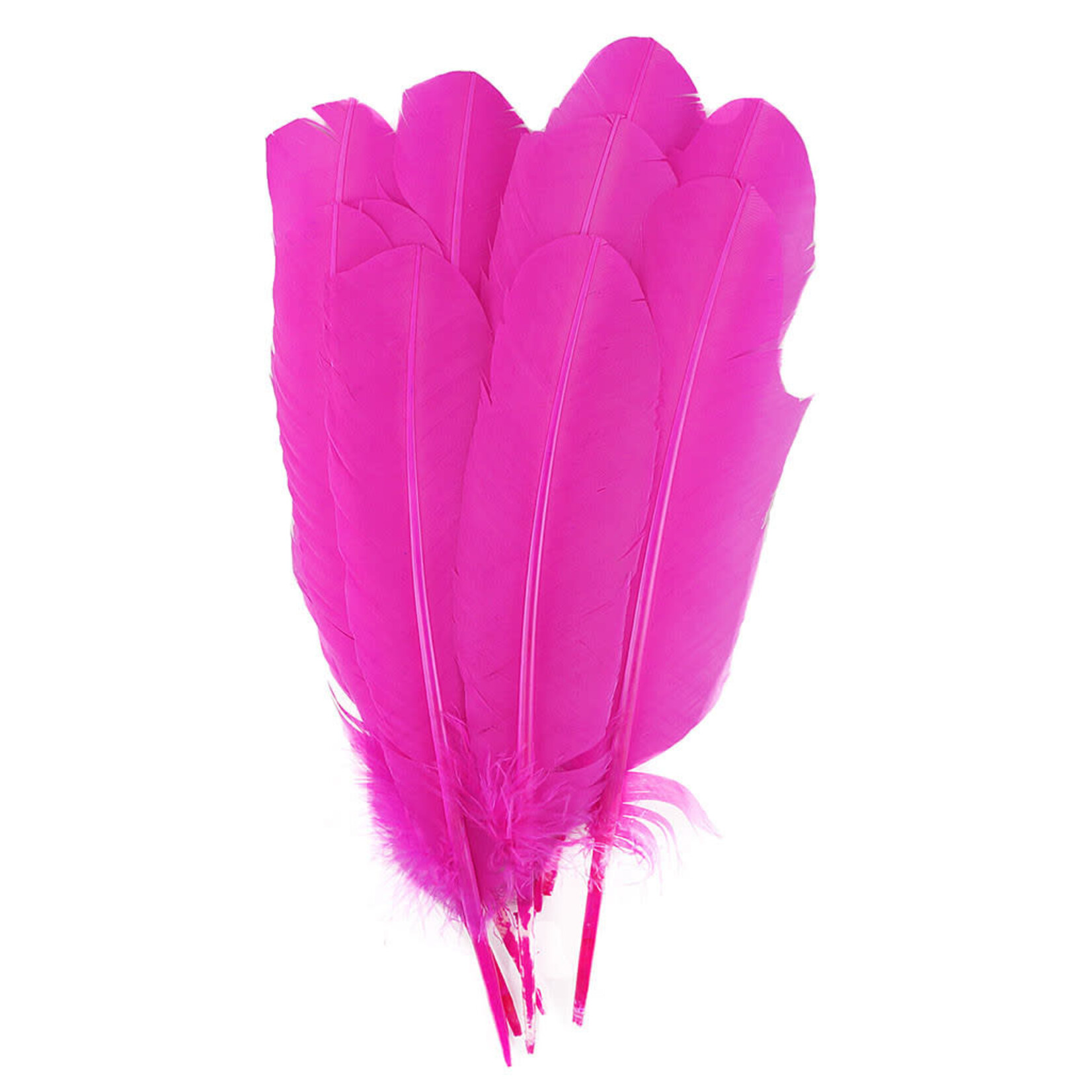 Turkey Quills 12-14 Inch 10 Pieces (5 left, 5 right) Fuchsia