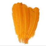 Turkey Quills 12-14 Inch 10 Pieces (5 left, 5 right) Golden Yellow