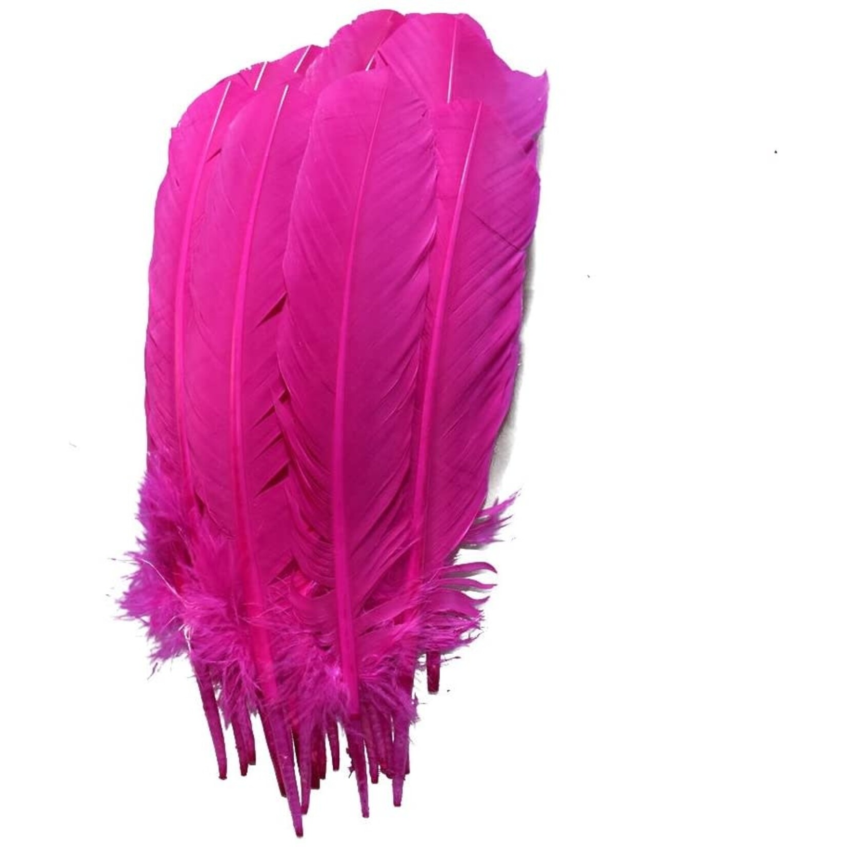 Turkey Quills 12-14 Inch 10 Pieces (5 left, 5 right) Hot Pink