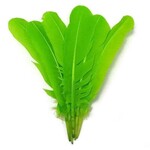 Turkey Quills 12-14 Inch 10 Pieces (5 left, 5 right) Lime Green