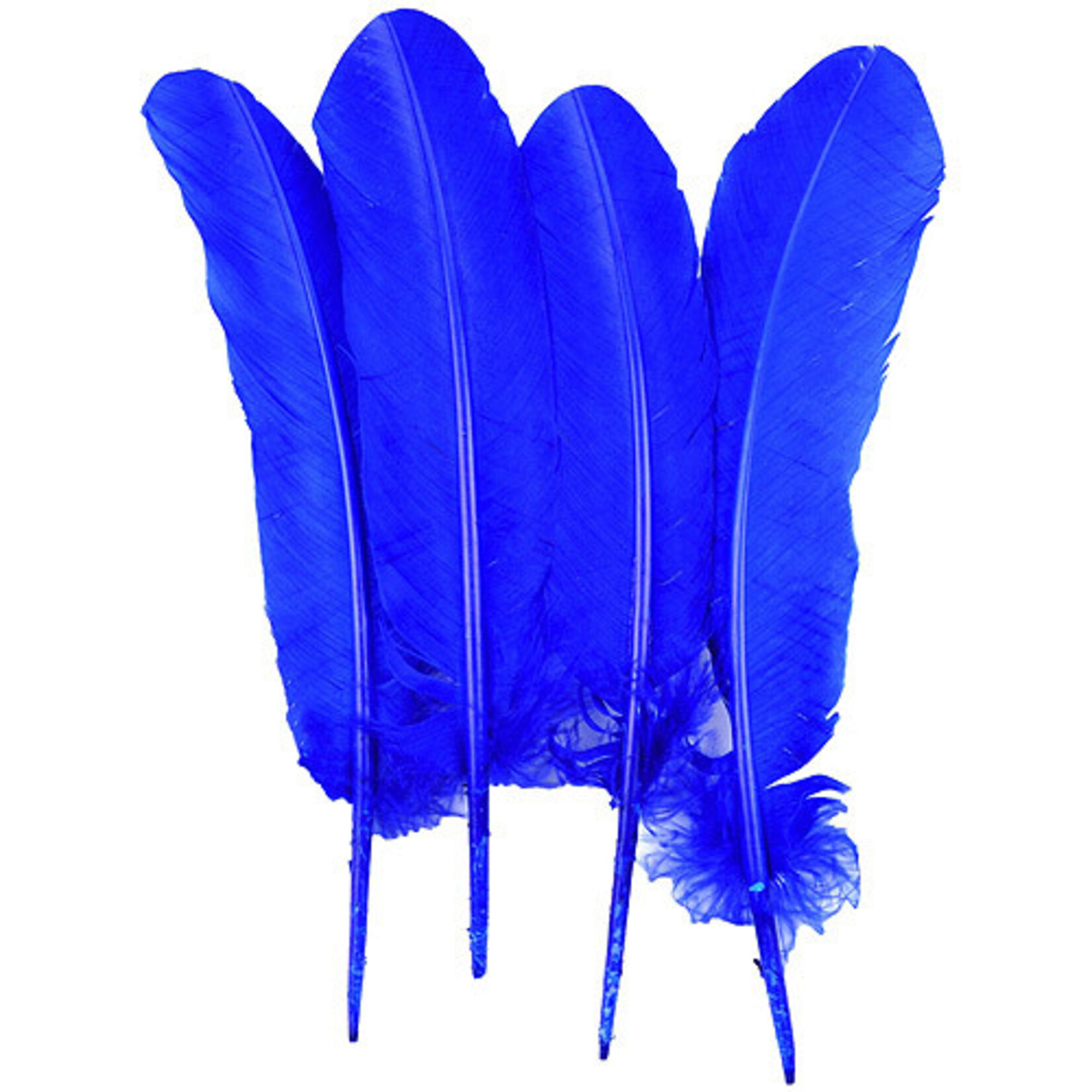 Turkey Quills 12-14 Inch 10 Pieces (5 left, 5 right) Royal Blue
