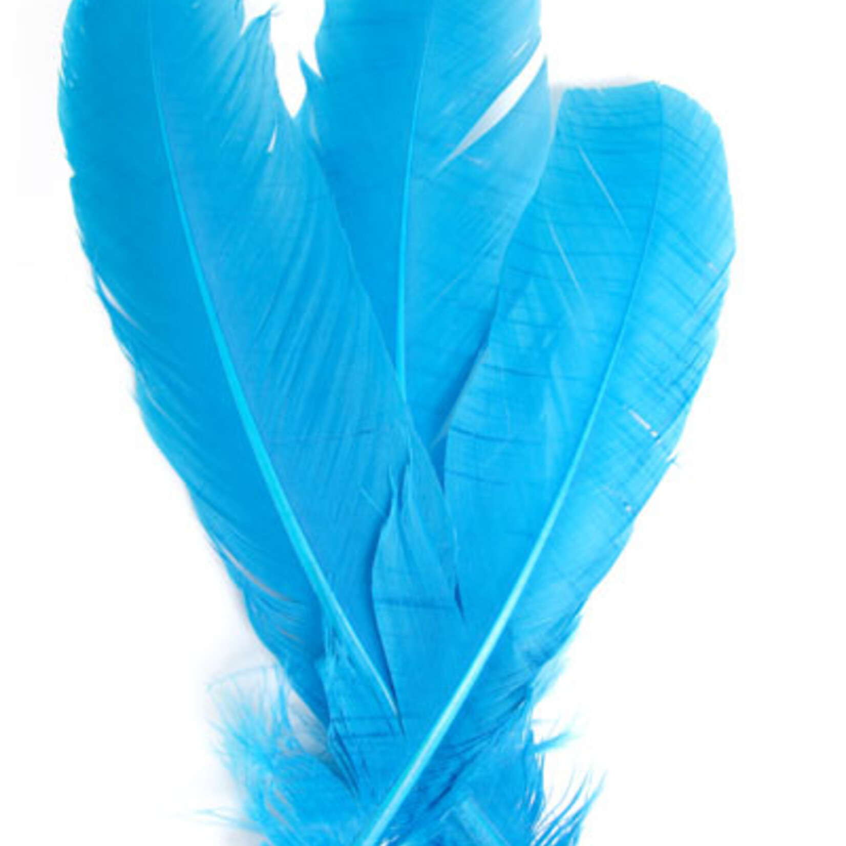 Turkey Quills 12-14 Inch 10 Pieces (5 left, 5 right) Turquoise Blue