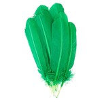 Turkey Quills 12-14 Inch 10 Pieces (5 left, 5 right) Kelly Green