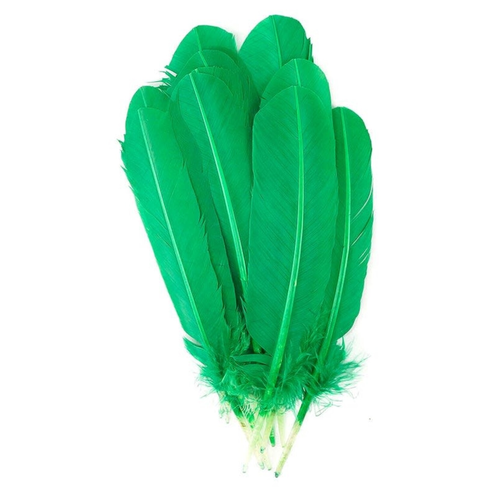 Turkey Quills 12-14 Inch 10 Pieces (5 left, 5 right) Kelly Green