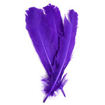 Turkey Quills 12-14 Inch 10 Pieces (5 left, 5 right) Purple