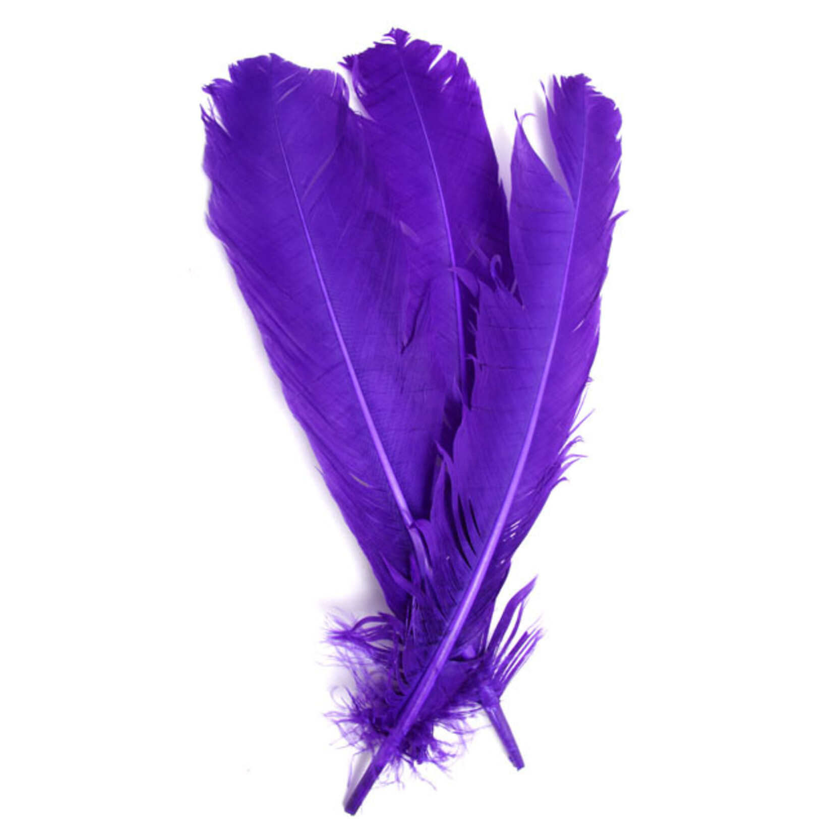 Turkey Quills 12-14 Inch 10 Pieces (5 left, 5 right) Purple