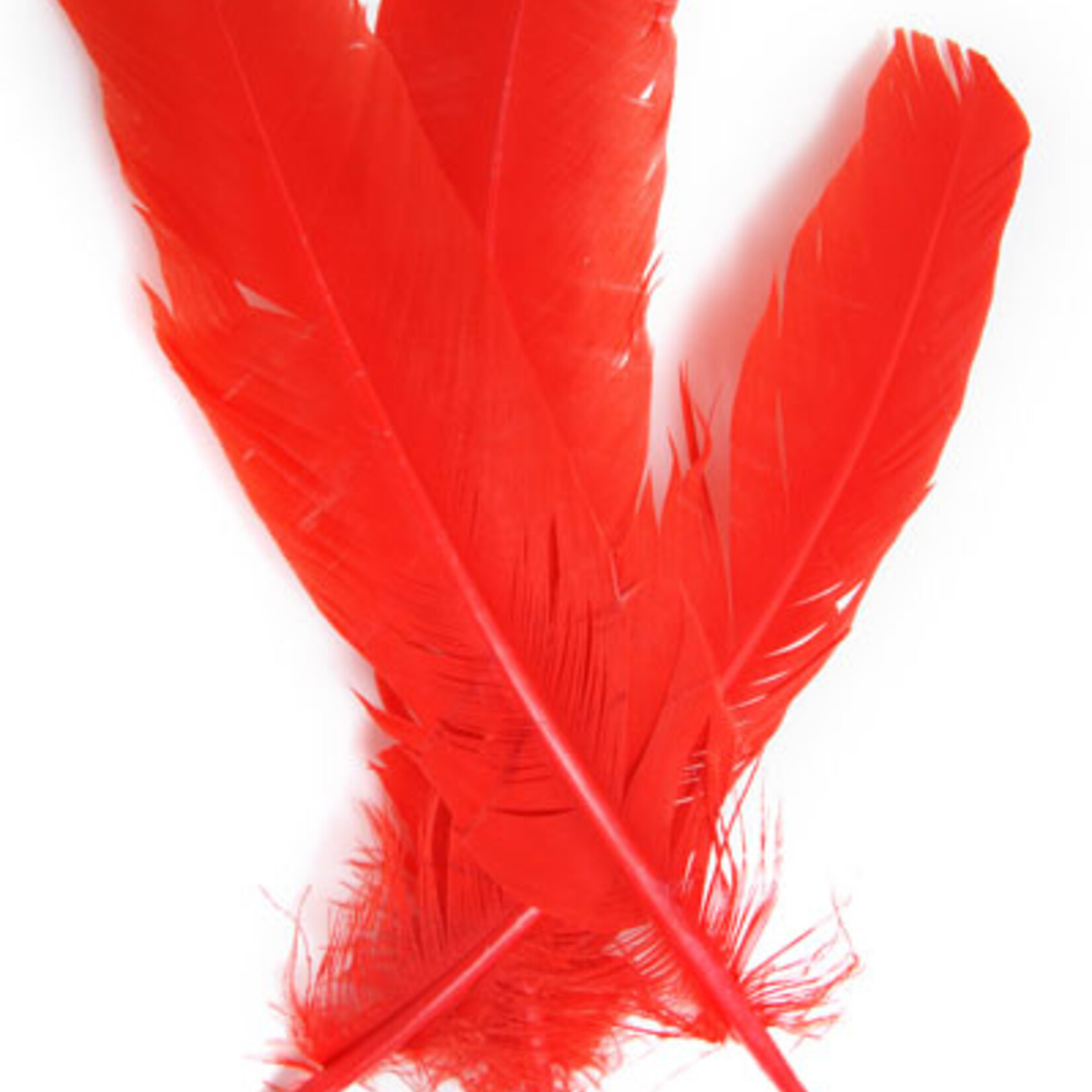 Turkey Quills 12-14 Inch 10 Pieces (5 left, 5 right) -  Red