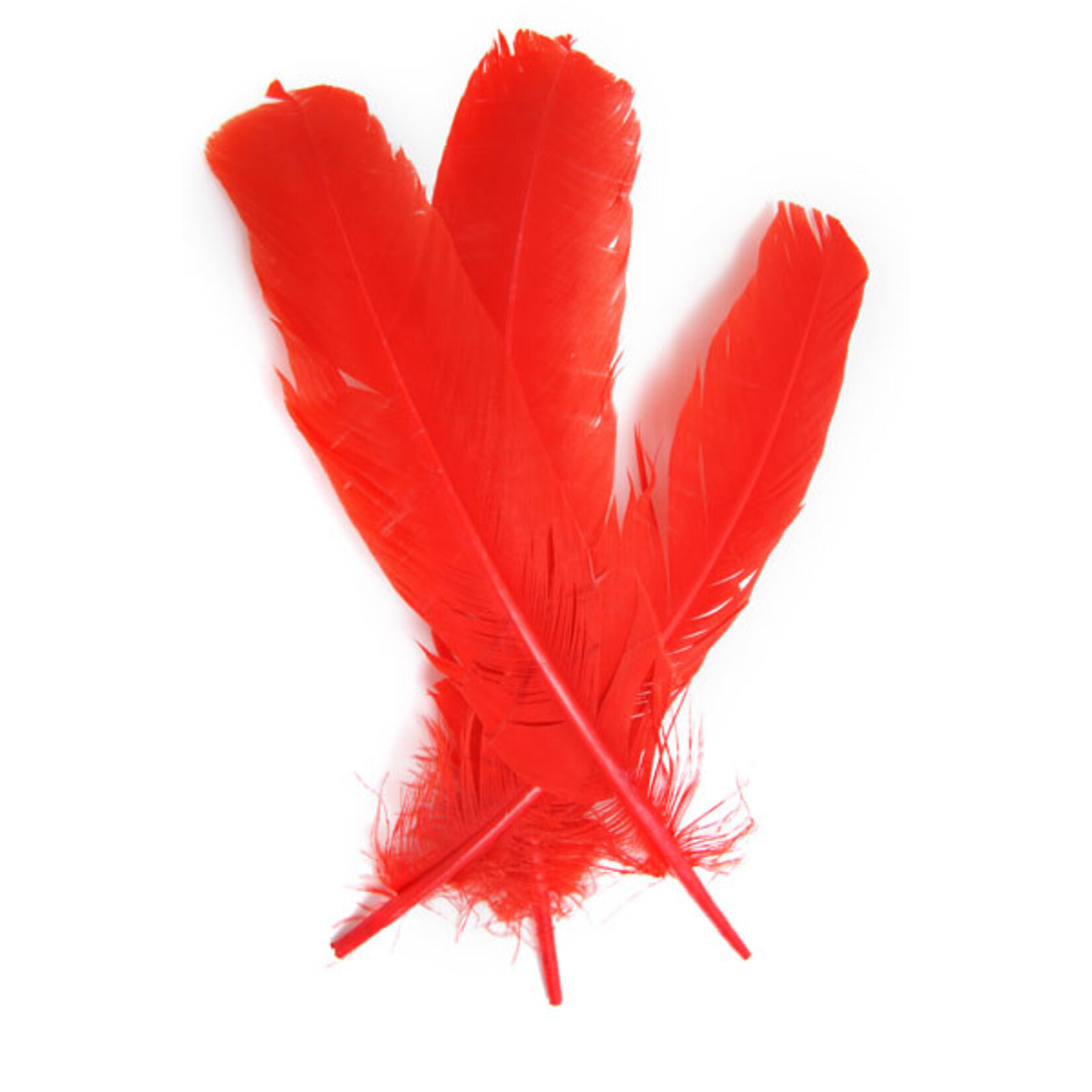 Turkey Quills 12-14 Inch 10 Pieces (5 left, 5 right) -  Red