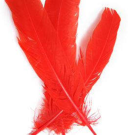 Turkey Quills 12-14 Inch 10 Pieces (5 left, 5 right) Red