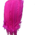 Turkey Quills 12-14 Inch 1 lb  Fuchsia