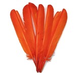 Turkey Quills 12-14 Inch 1 lb  Bright Orange