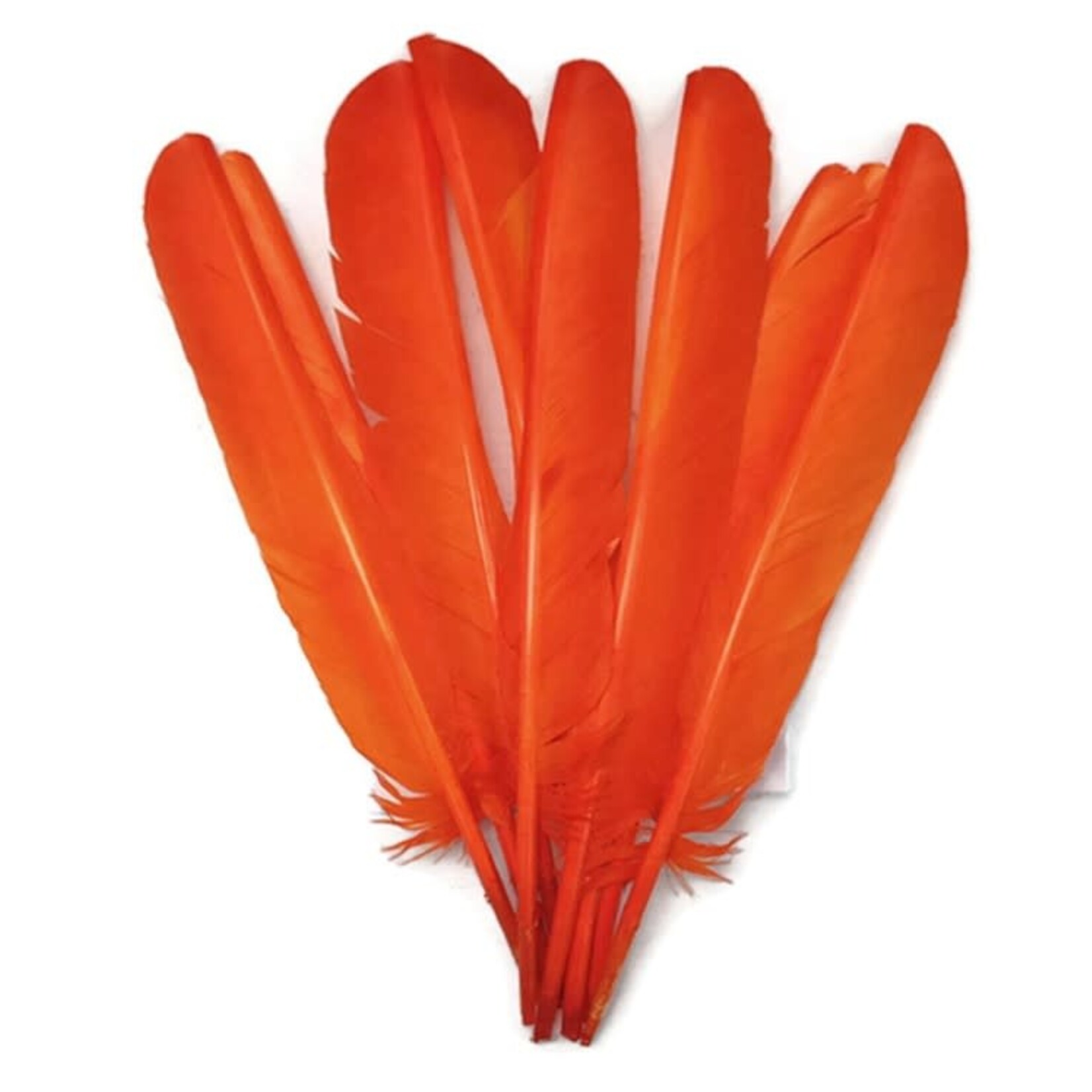 Turkey Quills 12-14 Inch 1 lb  Bright Orange