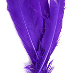 Turkey Quills 12-14 Inch 1 lb  Purple