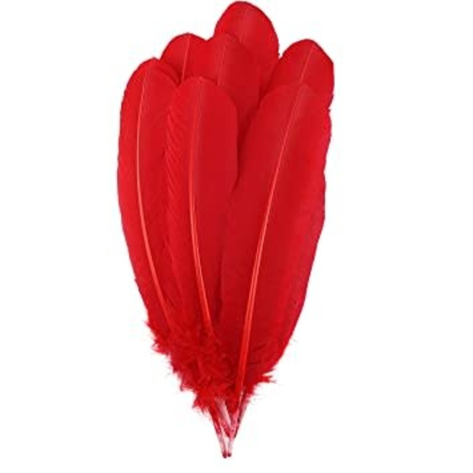 Turkey Quills 12-14 Inch 1 lb  Red