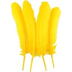 Turkey Quills 12-14 Inch 1 lb  Canary Yellow