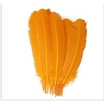 Turkey Quills 12-14 Inch 0.5 lb  Golden Yellow
