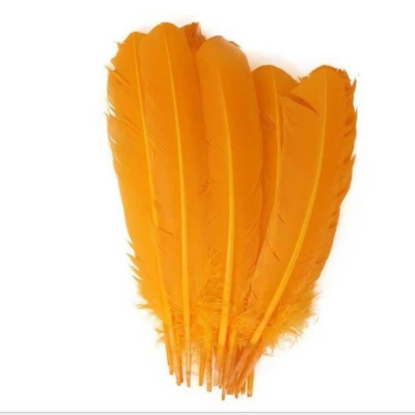 Turkey Quills 12-14 Inch 0.5 lb  Golden Yellow